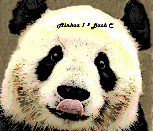 Ainhoa - Panda